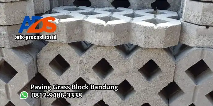 Jual Paving Grass Block Bandung per m2 6 Lubang